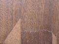 l1000037_2b